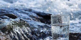 Su, tarih boyunca hem yemek kültürü hem de yaşamın temel öğesi olarak vazgeçilmez bir öneme sahip olmuştur. İnsanlar, suyun arıtılması, saklanması ve sofralarda doğru şekilde sunulması konusunda uzun yıllardır çeşitli yöntemler geliştirmiştir. Su, sadece içecek olarak değil, aynı zamanda yemeklerin hazırlanması ve servisi açısından da sofra geleneğinin önemli bir parçası olmuştur. Konulu bir haber görseli.