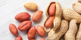 Yer fıstığı, lezzeti ve besin değeriyle pek çok kişinin favori atıştırmalığı olsa da, bazı kişiler için ciddi alerjik reaksiyonlar oluşturabilir. Yer fıstığı alerjisi, özellikle çocuklarda ve gençlerde yaygın görülen bir gıda alerjisidir ve doğru beslenme stratejileriyle yönetilmelidir. Bu bağlamda alerji dostu diyet uygulamaları, hem sağlık hem de yaşam kalitesi açısından büyük önem taşır. İnsanlar artık sadece lezzet değil, aynı zamanda güvenli tüketim açısından da bilinçli seçimler yapıyor. Konulu bir haber görseli.