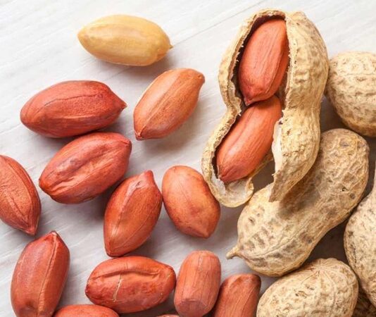 Yer fıstığı, lezzeti ve besin değeriyle pek çok kişinin favori atıştırmalığı olsa da, bazı kişiler için ciddi alerjik reaksiyonlar oluşturabilir. Yer fıstığı alerjisi, özellikle çocuklarda ve gençlerde yaygın görülen bir gıda alerjisidir ve doğru beslenme stratejileriyle yönetilmelidir. Bu bağlamda alerji dostu diyet uygulamaları, hem sağlık hem de yaşam kalitesi açısından büyük önem taşır. İnsanlar artık sadece lezzet değil, aynı zamanda güvenli tüketim açısından da bilinçli seçimler yapıyor. Konulu bir haber görseli.