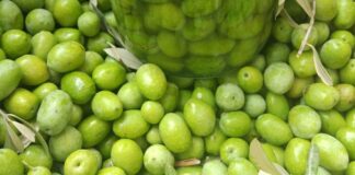 Akdeniz ve Ege coğrafyasının mutfak kültüründe özel bir yere sahip olan zeytin kırma, yalnızca bir hazırlık yöntemi değil, aynı zamanda köklü bir yaşam alışkanlığıdır. Zeytin ağaçlarının meyvesi olan zeytinin sofraya ulaşmadan önce geçirdiği bu süreç, sabır ve deneyim gerektirir. Zeytin kırma, doğrudan tüketilemeyen zeytinin geleneksel yöntemlerle yenilebilir hâle getirilmesini sağlar. Konulu bir haber görseli.