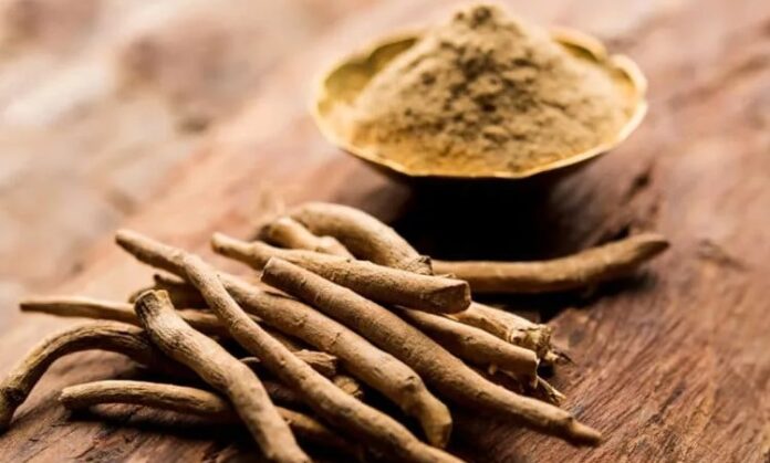 Günümüzde sağlıklı yaşam kavramı yalnızca fiziksel iyi olma hâliyle sınırlı kalmamakta, zihinsel denge ve stres yönetimi de bu anlayışın önemli bir parçası hâline gelmektedir. Bu noktada doğal kaynaklı çözümlere olan ilgi giderek artmaktadır. Özellikle adaptogen bitkileri, vücudun strese uyum sağlama kapasitesini destekleyen özellikleriyle dikkat çekmektedir. Yüzyıllardır farklı kültürlerde kullanılan bu bitkiler, modern beslenme ve yaşam tarzı yaklaşımlarında yeniden keşfedilmektedir. Konulu bir haber görseli.