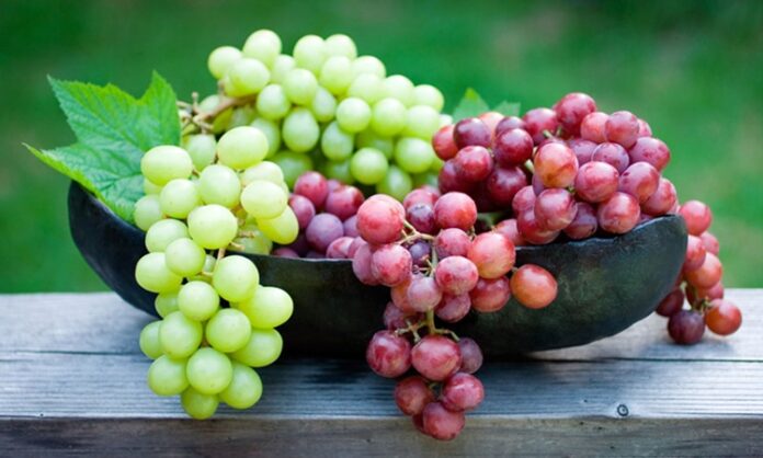 Bağlardan Sofralara Uzanan Bereket Üzümün Yolculuğu Üzüm, insanlık tarihinin en eski tarım ürünlerinden biri olarak hem beslenme kültüründe hem de ekonomik hayatta özel bir yere sahiptir. Binlerce yıldır farklı coğrafyalarda yetiştirilen üzüm, taze tüketimden kuru meyveye, pekmezden geleneksel ürünlere kadar geniş bir kullanım alanına sahiptir. Türkiye gibi bağcılık kültürünün güçlü olduğu ülkelerde üzüm, yalnızca bir meyve değil; aynı zamanda gelenek, emek ve üretimin simgesi olarak görülür. Konulu bir haber görseli.