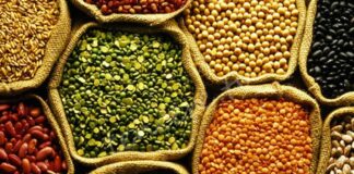 Baklagil proteini, son yıllarda sağlıklı yaşam ve bitki temelli beslenme trendlerinin yükselmesiyle birlikte daha fazla ilgi gören besin unsurlarından biri haline gelmiştir. Mercimek, nohut, fasulye ve bezelye gibi baklagillerden elde edilen bu protein türü, hem doğal yapısı hem de besleyici içeriğiyle dikkat çekmektedir. Hayvansal proteinlere alternatif arayan bireyler için baklagil proteini, dengeli ve sürdürülebilir bir beslenme anlayışının önemli bir parçası olarak öne çıkmaktadır. Konulu bir haber görseli.