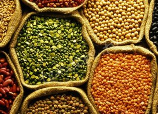 Baklagil proteini, son yıllarda sağlıklı yaşam ve bitki temelli beslenme trendlerinin yükselmesiyle birlikte daha fazla ilgi gören besin unsurlarından biri haline gelmiştir. Mercimek, nohut, fasulye ve bezelye gibi baklagillerden elde edilen bu protein türü, hem doğal yapısı hem de besleyici içeriğiyle dikkat çekmektedir. Hayvansal proteinlere alternatif arayan bireyler için baklagil proteini, dengeli ve sürdürülebilir bir beslenme anlayışının önemli bir parçası olarak öne çıkmaktadır. Konulu bir haber görseli.