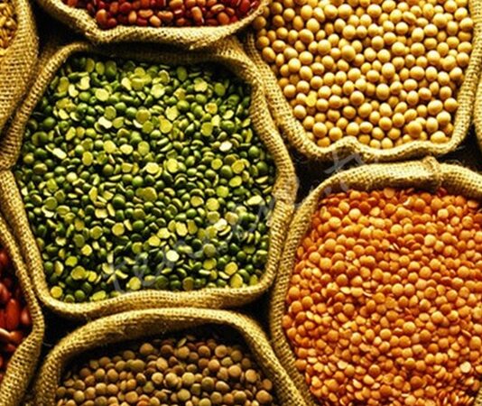 Baklagil proteini, son yıllarda sağlıklı yaşam ve bitki temelli beslenme trendlerinin yükselmesiyle birlikte daha fazla ilgi gören besin unsurlarından biri haline gelmiştir. Mercimek, nohut, fasulye ve bezelye gibi baklagillerden elde edilen bu protein türü, hem doğal yapısı hem de besleyici içeriğiyle dikkat çekmektedir. Hayvansal proteinlere alternatif arayan bireyler için baklagil proteini, dengeli ve sürdürülebilir bir beslenme anlayışının önemli bir parçası olarak öne çıkmaktadır. Konulu bir haber görseli.