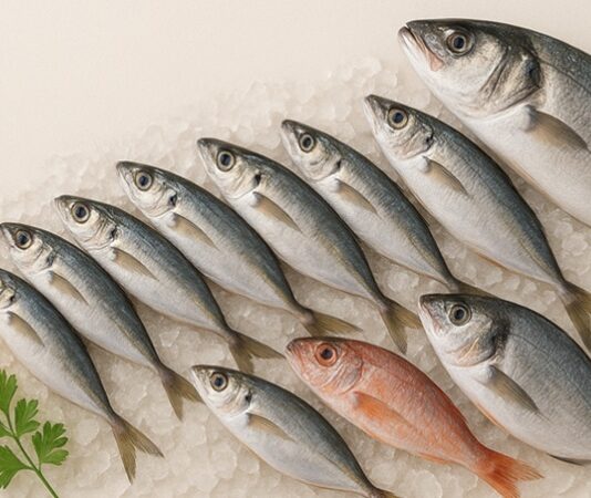 Balık, insanlık tarihinin en eski besin kaynaklarından biri olarak hem kıyı kültürlerinde hem de iç bölgelerde önemli bir yere sahip olmuştur. Günümüzde ise sağlıklı yaşam bilincinin artmasıyla birlikte balık tüketimi, dengeli beslenmenin temel unsurlarından biri olarak görülüyor. Denizlerden ve tatlı sulardan elde edilen bu değerli besin, içerdiği zengin besin öğeleri sayesinde her yaş grubuna hitap eden güçlü bir gıda olarak öne çıkıyor. Özellikle düzenli tüketildiğinde vücut fonksiyonlarını destekleyen etkileriyle dikkat çekiyor. Konulu bir haber görseli.