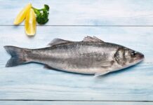 Deniz Balıkları Sofralarda Sağlık Ve Doğallığın Vazgeçilmez Kaynağı Deniz balıkları, hem beslenme kültürünün hem de sağlıklı yaşam anlayışının en önemli unsurlarından biri olarak öne çıkıyor. Yüzyıllardır kıyı toplumlarının temel gıda kaynağı olan balık, günümüzde de protein ihtiyacını karşılayan doğal ve değerli bir besin olarak kabul ediliyor. Özellikle deniz balıkları, tatlı su balıklarına kıyasla besin değeri ve yağ profili açısından farklı özellikler taşıyor. Konulu bir haber görseli.