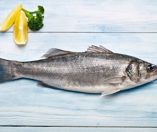 Deniz balıkları, hem beslenme kültürünün hem de sağlıklı yaşam anlayışının en önemli unsurlarından biri olarak öne çıkıyor. Yüzyıllardır kıyı toplumlarının temel gıda kaynağı olan balık, günümüzde de protein ihtiyacını karşılayan doğal ve değerli bir besin olarak kabul ediliyor. Özellikle deniz balıkları, tatlı su balıklarına kıyasla besin değeri ve yağ profili açısından farklı özellikler taşıyor. Konulu bir haber görseli.