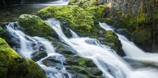 Doğal kaynak suyu, yeryüzünün derinliklerinden süzülerek gelen ve hiçbir kimyasal işlem görmeden insan tüketimine sunulan en saf içeceklerden biri olarak kabul ediliyor. Günümüzde sağlıklı yaşam bilincinin artmasıyla birlikte doğal kaynak suyu, yalnızca susuzluğu gidermek için değil, vücudun günlük ihtiyaçlarını destekleyen temel bir unsur olarak görülüyor. Yer altı katmanlarından geçerken mineral kazanması, bu suyu sıradan içme sularından ayıran en önemli özellikler arasında yer alıyor. Konulu bir haber görseli.