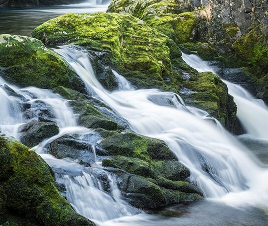 Doğal kaynak suyu, yeryüzünün derinliklerinden süzülerek gelen ve hiçbir kimyasal işlem görmeden insan tüketimine sunulan en saf içeceklerden biri olarak kabul ediliyor. Günümüzde sağlıklı yaşam bilincinin artmasıyla birlikte doğal kaynak suyu, yalnızca susuzluğu gidermek için değil, vücudun günlük ihtiyaçlarını destekleyen temel bir unsur olarak görülüyor. Yer altı katmanlarından geçerken mineral kazanması, bu suyu sıradan içme sularından ayıran en önemli özellikler arasında yer alıyor. Konulu bir haber görseli.