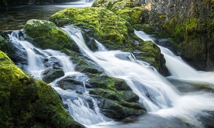 Doğal kaynak suyu, yeryüzünün derinliklerinden süzülerek gelen ve hiçbir kimyasal işlem görmeden insan tüketimine sunulan en saf içeceklerden biri olarak kabul ediliyor. Günümüzde sağlıklı yaşam bilincinin artmasıyla birlikte doğal kaynak suyu, yalnızca susuzluğu gidermek için değil, vücudun günlük ihtiyaçlarını destekleyen temel bir unsur olarak görülüyor. Yer altı katmanlarından geçerken mineral kazanması, bu suyu sıradan içme sularından ayıran en önemli özellikler arasında yer alıyor. Konulu bir haber görseli.