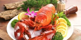 Deniz ürünleri denildiğinde akla gelen en prestijli seçeneklerden biri olan ıstakoz, hem gurme mutfakların hem de lüks restoranların vazgeçilmezleri arasında yer alıyor. Son yıllarda artan gastronomi merakı ve dünya mutfağına olan ilgiyle birlikte ıstakoz tüketimi de dikkat çekici biçimde yükselmiş durumda. Özellikle özel günlerde ve seçkin davet sofralarında tercih edilen bu deniz ürünü, lezzeti kadar görsel sunumuyla da öne çıkıyor. Konulu bir haber görseli.