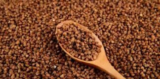 Son yıllarda beslenme alışkanlıklarında yaşanan dönüşüm, geleneksel ürünlerin yeniden keşfedilmesini sağladı. Bu ürünlerin başında gelen karabuğday tüketimi, özellikle sağlıklı yaşam ve dengeli beslenme arayışında olan bireylerin dikkatini çekiyor. Tahıl olarak bilinse de aslında farklı bir bitki grubuna ait olan karabuğday, doğal yapısı ve kullanım çeşitliliğiyle mutfaklarda giderek daha fazla yer buluyor. Konulu bir haber görseli.