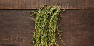 Kekik, doğanın sunduğu en güçlü aromalardan birine sahip bitkiler arasında yer alır. Yüzyıllardır hem mutfak kültüründe hem de geleneksel kullanım alanlarında kendine sağlam bir yer edinen kekik, özellikle Akdeniz coğrafyasıyla özdeşleşmiş bir bitkidir. Keskin kokusu ve yoğun tadı sayesinde az miktarla bile yemeklerin karakterini değiştirebilen bu bitki, geçmişten günümüze değerini korumayı başarmıştır. Konulu bir haber görseli