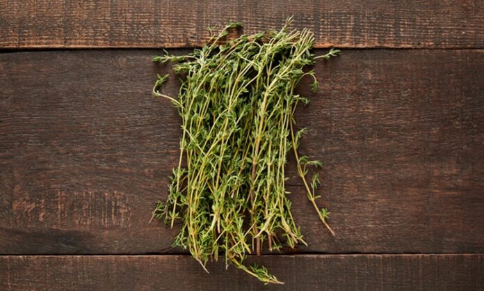 Kekik, doğanın sunduğu en güçlü aromalardan birine sahip bitkiler arasında yer alır. Yüzyıllardır hem mutfak kültüründe hem de geleneksel kullanım alanlarında kendine sağlam bir yer edinen kekik, özellikle Akdeniz coğrafyasıyla özdeşleşmiş bir bitkidir. Keskin kokusu ve yoğun tadı sayesinde az miktarla bile yemeklerin karakterini değiştirebilen bu bitki, geçmişten günümüze değerini korumayı başarmıştır. Konulu bir haber görseli