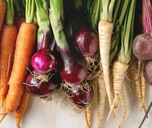 Beslenme alışkanlıklarında doğallık ve sürdürülebilirlik arayışı arttıkça, kök sebzeler yeniden hak ettiği ilgiyi görmeye başladı. Toprağın altında yetişen bu sebzeler, hem dayanıklı yapıları hem de besleyici özellikleriyle mutfakların temel taşları arasında yer alıyor. Patatesten havuca, pancardan turpa kadar uzanan geniş bir çeşitliliğe sahip olan kök sebzeler, geçmişten günümüze sofralardaki yerini koruyor. Konulu bir haber görseli.