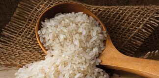 Pirinç, dünya nüfusunun yarısından fazlası için temel besin kaynağı olarak kabul ediliyor. Asya’dan Afrika’ya, Amerika’dan Avrupa’ya kadar geniş bir coğrafyada tüketilen Pirinç, yalnızca bir gıda ürünü değil; aynı zamanda kültürel, ekonomik ve stratejik bir değere sahip. Milyarlarca insanın günlük kalori ihtiyacının önemli bir bölümünü karşılayan pirinç, küresel Gıda Güvenliği politikalarının da merkezinde yer alıyor. Konulu bir haber görseli.