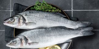 Deniz ürünleri arasında beyaz eti, hafif aroması ve çok yönlü kullanımıyla öne çıkan levrek, Türkiye’de en çok tercih edilen balık türlerinden biri olmaya devam ediyor. Hem restoran menülerinde hem de ev mutfaklarında sıkça yer bulan bu değerli balık, özellikle sağlıklı beslenmeye ilgi duyan tüketicilerin gözdesi haline geldi. Son yıllarda artan gastronomi merakı, televizyon programları ve sosyal medyada paylaşılan tarifler, levrek tüketimini daha da yaygınlaştırdı. Konulu bir haber görseli.