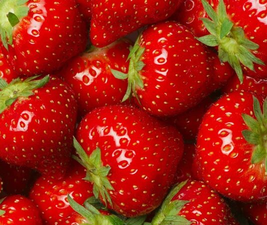 Çilek, rengi, kokusu ve tadıyla yalnızca bir meyve olmanın ötesinde, kültürel ve ekonomik anlamlar taşıyan özel bir ürün olarak dikkat çekiyor. Türkiye’de özellikle ilkbahar ve yaz aylarında tezgâhları süsleyen çilek, hem taze tüketimi hem de farklı kullanım alanlarıyla geniş bir kitleye hitap ediyor. Besin değeri yüksek yapısı, aromatik tadı ve görsel çekiciliği sayesinde sofralarda önemli bir yer edinen bu meyve, aynı zamanda tarımsal üretimde de stratejik bir rol üstleniyor. Konulu bir haber görseli.