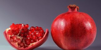 Nar, Anadolu coğrafyasında yalnızca bir meyve değil; bereketin, bolluğun ve devamlılığın simgesi olarak yüzyıllardır yaşamın merkezinde yer alıyor. Kırmızı taneleriyle dikkat çeken bu meyve, hem geleneksel inanışlarda hem de günlük beslenme kültüründe kendine sağlam bir yer edinmiş durumda. Günümüzde nar üretimi tarımsal ekonomi açısından da önemli bir konuma ulaşırken, sofralarda taze tüketimden soslara kadar geniş bir kullanım alanı buluyor. Konulu bir haber görseli.