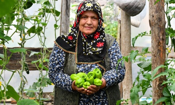 Son yıllarda sağlıklı yaşam arayışının artmasıyla birlikte organik sebzeler gıda tercihlerinde çok daha görünür hale geldi. Tüketiciler artık sadece doyurucu değil, aynı zamanda doğaya ve insan sağlığına zarar vermeyen ürünlere yöneliyor. Bu yönelim, tarım anlayışını da kökten değiştirirken, kimyasal girdilerden uzak üretim modellerini ön plana çıkarıyor. Özellikle şehir hayatının getirdiği hızlı tüketim alışkanlıkları, insanları daha bilinçli seçimler yapmaya itiyor. Konulu bir haber görseli.