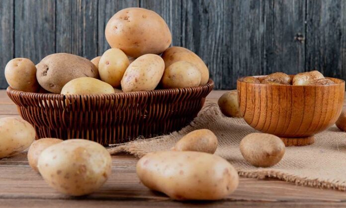 Dünya genelinde en çok tüketilen temel gıdalardan biri olan patates, hem ekonomik erişilebilirliği hem de çok yönlü kullanımıyla mutfakların vazgeçilmezleri arasında yer alıyor. Kökeni Güney Amerika’ya dayanan patates, yüzyıllar içinde Avrupa’dan Asya’ya, Afrika’dan Orta Doğu’ya kadar yayılarak küresel bir besin haline geldi. Bugün kızartmadan haşlamaya, pürelerden fırın yemeklerine kadar sayısız tarifte kullanılan patates, besin değeri ve doyuruculuğuyla da öne çıkıyor. Konulu bir haber görseli.