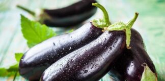 Akdeniz mutfağının vazgeçilmez sebzelerinden biri olan patlıcan, hem lezzeti hem de besin değerleriyle sofraların yıldızı haline gelmiştir. Mor rengi ve kendine has aromasıyla öne çıkan patlıcan, hem sıcak hem de soğuk yemeklerde geniş bir kullanım alanına sahiptir. Türkiye mutfağında özellikle zeytinyağlılar, kızartmalar ve dolmalar gibi çeşitli tariflerde kullanılan patlıcan, sağlıklı beslenme trendlerinin etkisiyle de yeniden değer kazanıyor. Tüm haber detayı için tıklayınız.