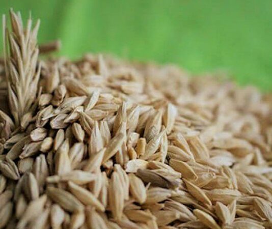 Beslenme alışkanlıklarının değişmesiyle birlikte sofralarda daha doğal ve geleneksel ürünlere yönelim giderek artıyor. Bu dönüşümün merkezinde yer alan tam buğday ürünleri, hem geçmişten gelen bir beslenme kültürünü temsil ediyor hem de modern yaşamın ihtiyaçlarına cevap veriyor. Günümüzde ekmekten makarnaya, undan gevreğe kadar pek çok ürünün tam buğday alternatifi bulunması, bu alandaki farkındalığın yükseldiğini açıkça gösteriyor. Konulu bir haber görseli.