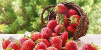 Sıcak havaların kendini hissettirmesiyle birlikte beslenme alışkanlıkları da değişmeye başlıyor. Kışın daha ağır ve sıcak yemeklere yönelen tüketiciler, yaz aylarında ferahlatıcı ve hafif gıdaları tercih ediyor. Bu dönemde öne çıkan ürünlerin başında ise yaz meyveleri geliyor. Renkli görünümleri, doğal aromaları ve serinletici etkileriyle yaz meyveleri, hem mutfaklarda hem de günlük atıştırmalıklarda önemli bir yer tutuyor. Konulu bir haber görseli.