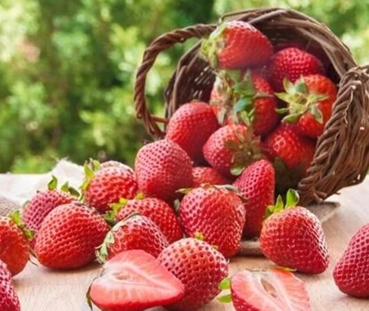 Sıcak havaların kendini hissettirmesiyle birlikte beslenme alışkanlıkları da değişmeye başlıyor. Kışın daha ağır ve sıcak yemeklere yönelen tüketiciler, yaz aylarında ferahlatıcı ve hafif gıdaları tercih ediyor. Bu dönemde öne çıkan ürünlerin başında ise yaz meyveleri geliyor. Renkli görünümleri, doğal aromaları ve serinletici etkileriyle yaz meyveleri, hem mutfaklarda hem de günlük atıştırmalıklarda önemli bir yer tutuyor. Konulu bir haber görseli.