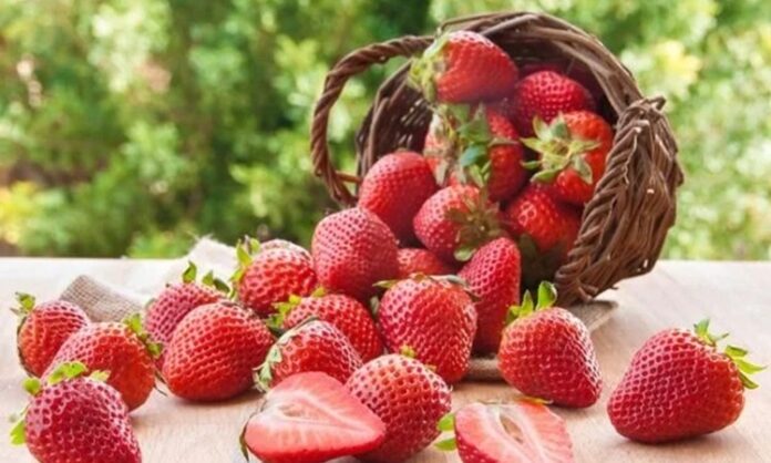 Sıcak havaların kendini hissettirmesiyle birlikte beslenme alışkanlıkları da değişmeye başlıyor. Kışın daha ağır ve sıcak yemeklere yönelen tüketiciler, yaz aylarında ferahlatıcı ve hafif gıdaları tercih ediyor. Bu dönemde öne çıkan ürünlerin başında ise yaz meyveleri geliyor. Renkli görünümleri, doğal aromaları ve serinletici etkileriyle yaz meyveleri, hem mutfaklarda hem de günlük atıştırmalıklarda önemli bir yer tutuyor. Konulu bir haber görseli.