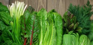 Günlük beslenme alışkanlıklarında sadeleşme ve doğala yönelme eğilimi giderek güçlenirken, yeşillik ve otlar bu dönüşümün merkezinde yer alıyor. Sofralarda daha fazla yer bulmaya başlayan bu ürünler, yalnızca lezzet unsuru olarak değil, aynı zamanda sağlıklı yaşamın temel bileşenleri olarak görülüyor. Doğadan doğrudan gelen bu besinler, minimal işlemle tüketildiği için besin değerlerini büyük ölçüde koruyor. Konulu bir haber görseli.