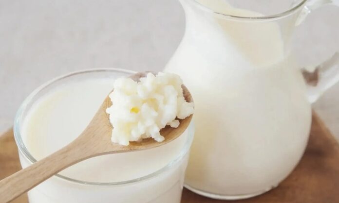 Yoğurt ve kefir, yüzyıllardır Anadolu mutfağının temel taşları arasında yer alırken günümüzde modern beslenme anlayışının da vazgeçilmez ürünleri haline geldi. Özellikle yoğurt ve kefir, doğal fermantasyon süreçleri sayesinde hem lezzet hem de besin değeri açısından öne çıkıyor. Son yıllarda sağlıklı yaşam trendlerinin yükselmesiyle birlikte bu iki fermente süt ürünü, sadece geleneksel sofralarda değil, sporcu beslenmesinden diyet listelerine kadar geniş bir alanda tüketiliyor. Konulu bir haber görseli.